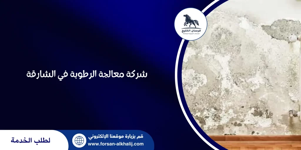 شركة معالجة الرطوبة في الشارقة
