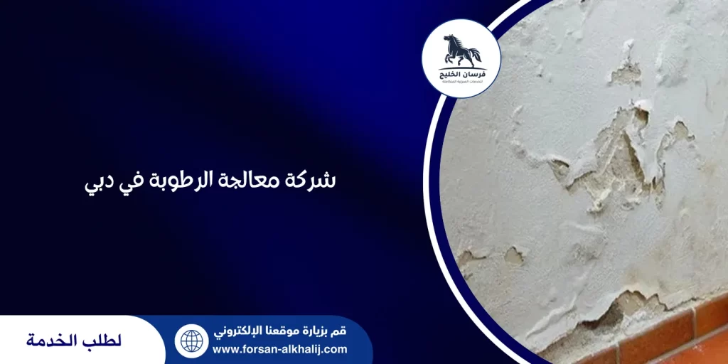 شركة معالجة الرطوبة في دبي